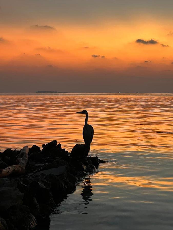 Raalhu Dhangethi Bed & Breakfast エクステリア 写真